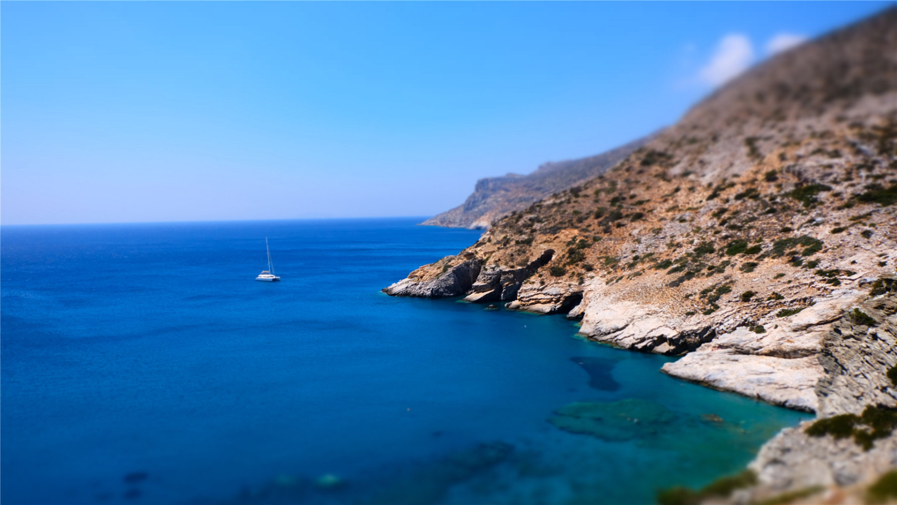 【product-image-alt】-【GROUP B】【cC】 what can i do for you-Jacket